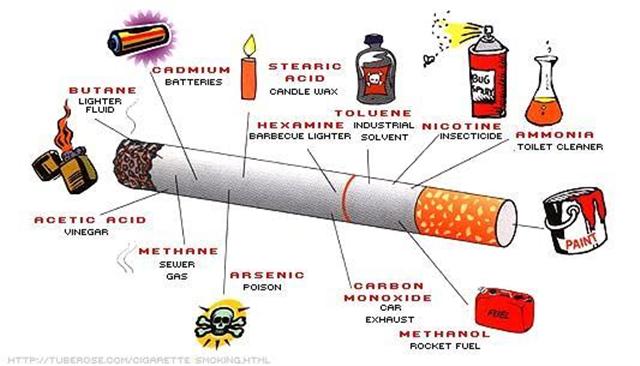 Kandungan racun yang ada di rokok begitu banyak